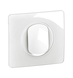 Legrand - Céliane 2024 - Poussoir avec voyant lumineux complet 1 poste - Réf : 080251 + CM0031 + CM0220 + CB1001 + CP0001