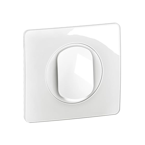 Legrand - Céliane 2024 - Poussoir avec voyant lumineux complet 1 poste - Réf : 080251 + CM0031 + CM0220 + CB1001 + CP0001