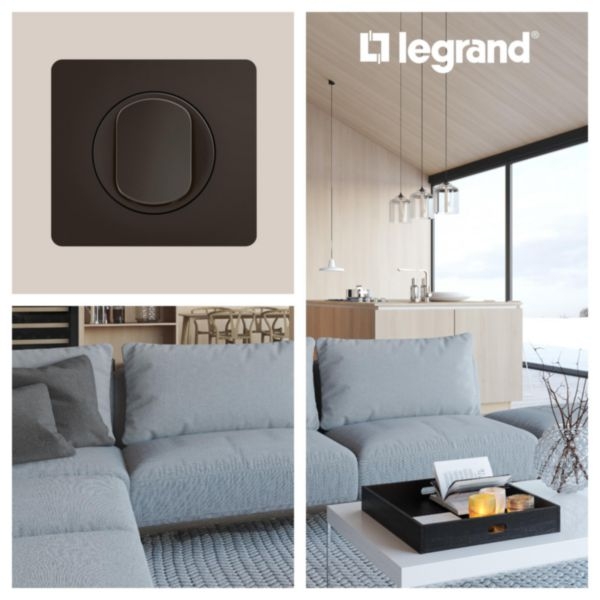 Legrand - Céliane 2024 - Plaque de finition Noir mat - 1 poste - Réf : CP0101