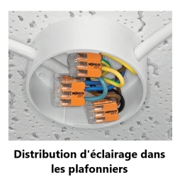 WAGO - Boîte de 50 Bornes auto fils Souple / Rigide 2 x (0.5 à 6mm2) - Réf.: WAG 221-612