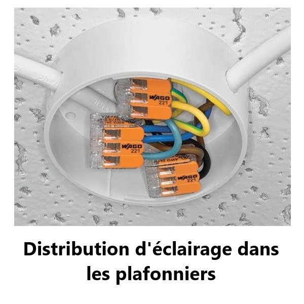 WAGO - Boîte de 50 Bornes auto fils Souple / Rigide 2 x (0.5 à 6mm2) - Réf.: WAG 221-612