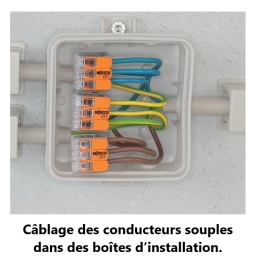 WAGO - Boîte de 50 Bornes auto fils Souple / Rigide 2 x (0.5 à 6mm2) - Réf.: WAG 221-612