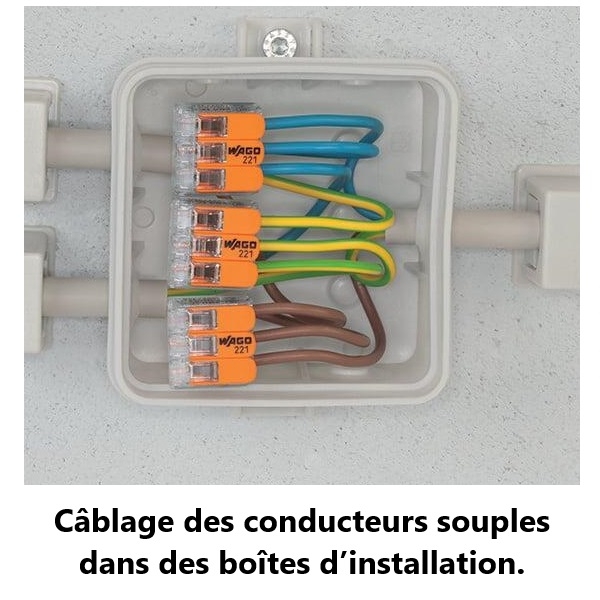 WAGO - Boîte de 50 Bornes auto fils Souple / Rigide 2 x (0.5 à 6mm2) - Réf.: WAG 221-612