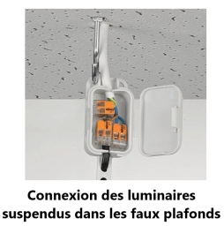 WAGO - Boîte de 50 Bornes auto fils Souple / Rigide 2 x (0.5 à 6mm2) - Réf.: WAG 221-612