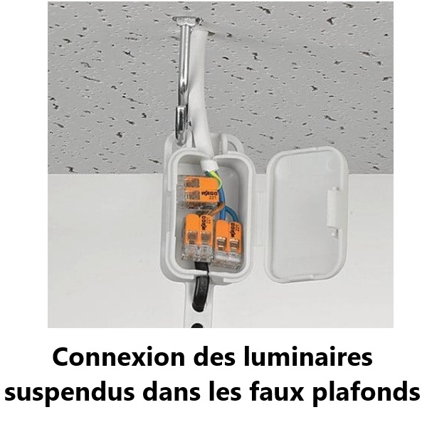 WAGO - Boîte de 50 Bornes auto fils Souple / Rigide 2 x (0.5 à 6mm2) - Réf.: WAG 221-612