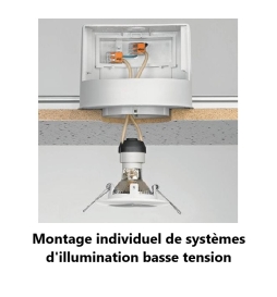 WAGO - Boîte de 50 Bornes auto fils Souple / Rigide 2 x (0.5 à 6mm2) - Réf.: WAG 221-612