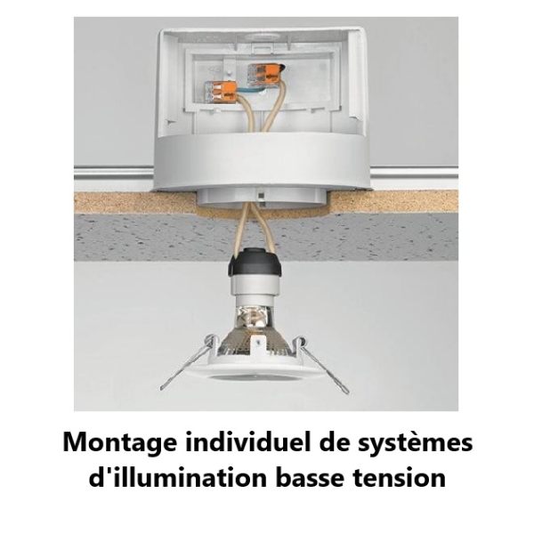 WAGO - Boîte de 50 Bornes auto fils Souple / Rigide 2 x (0.5 à 6mm2) - Réf.: WAG 221-612
