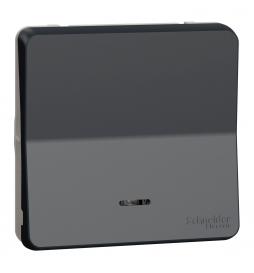 Schneider - Mureva Styl - Composable va et vient lumineux - IP55 - IK08 - con. auto - gris - Réf : MUR35025